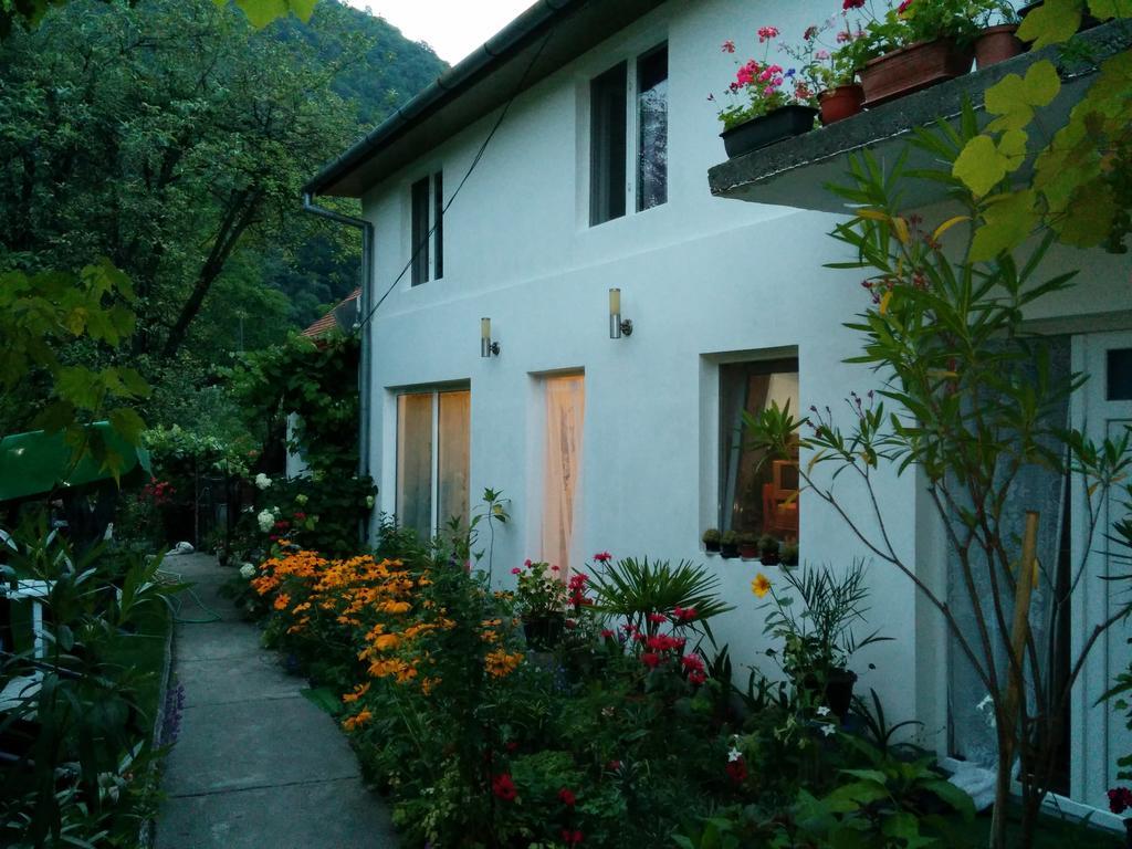 Pension Casa Anadam Baile Herculane Exterior photo